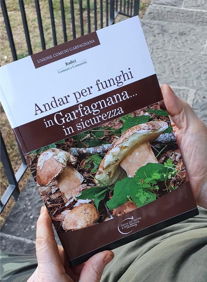 Alpeggio Pruno Villa Corfino Ngoại thất bức ảnh